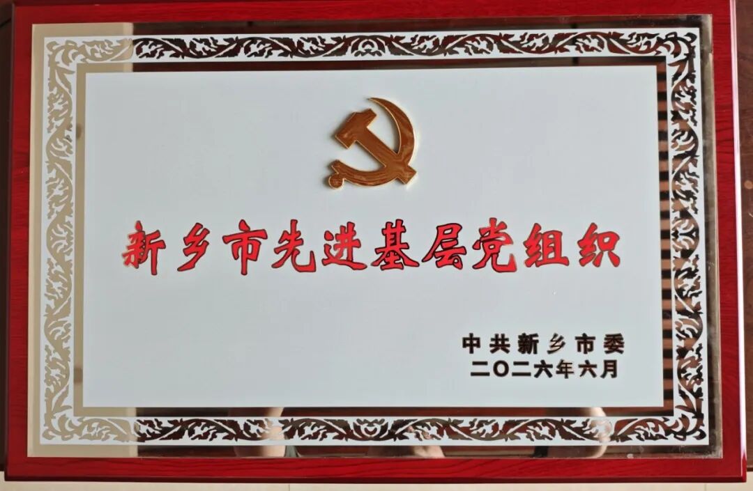 党支部荣誉表彰